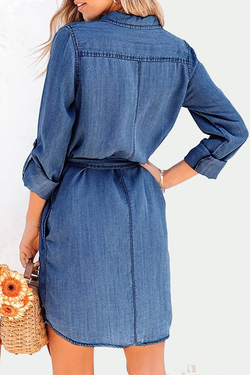 Frenulum Turndown Collar Long Sleeve Loose Denim Dresses