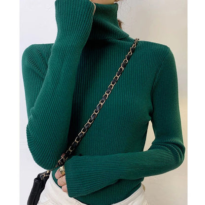 Gracefully Designed Sweater