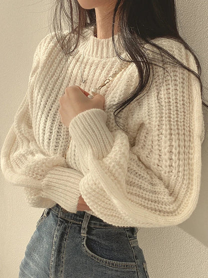 Elegantly Designed Sweater