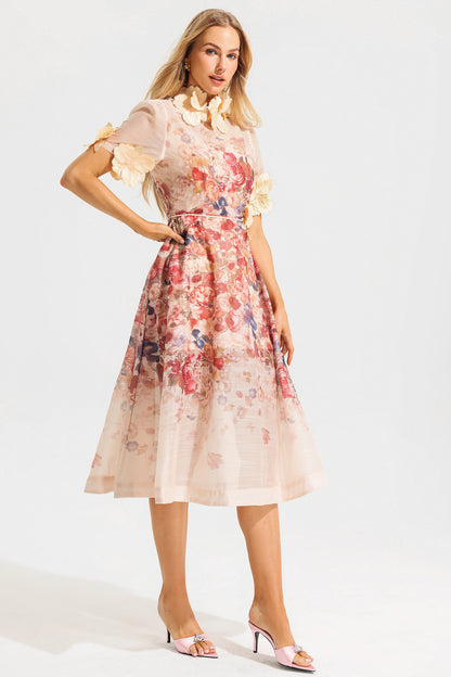 Round Neck Lace Up Short Sleeve Midi Dress