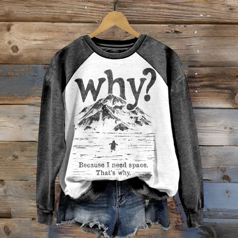 Comstylish Polar Mountains Nihilistic Penguin Contrast Color Sweatshirt
