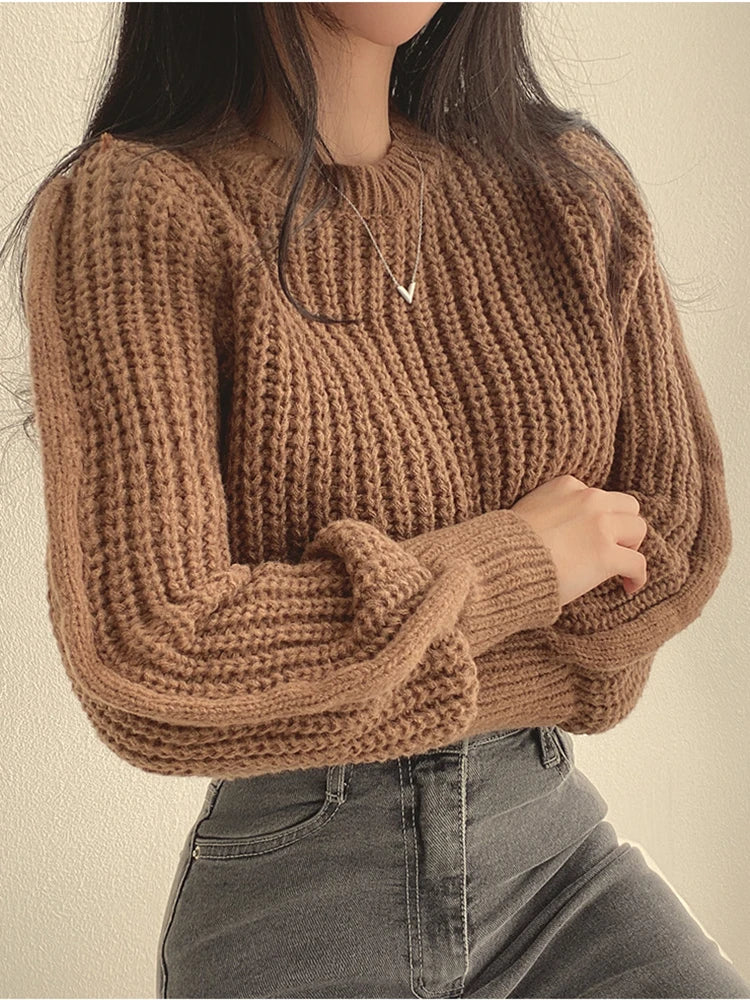 Elegantly Designed Sweater