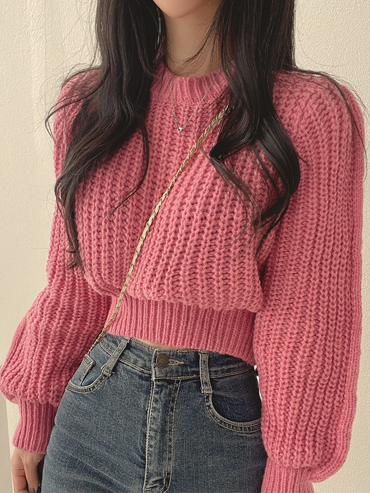 Elegantly Designed Sweater