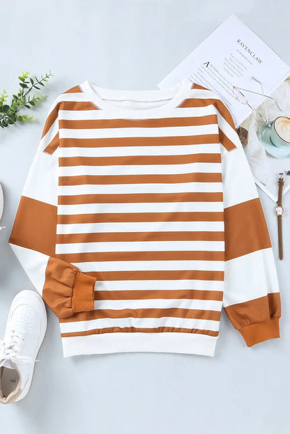 Striped Pullover Sweatshirt in Brown