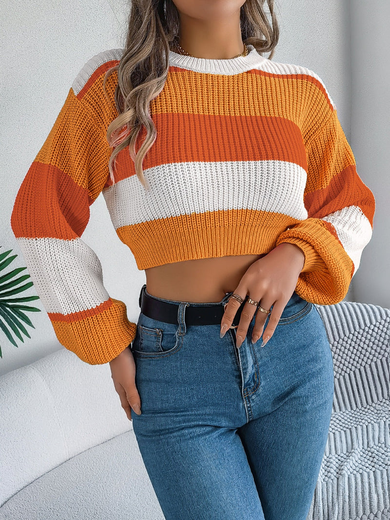Elegantly Designed Sweater