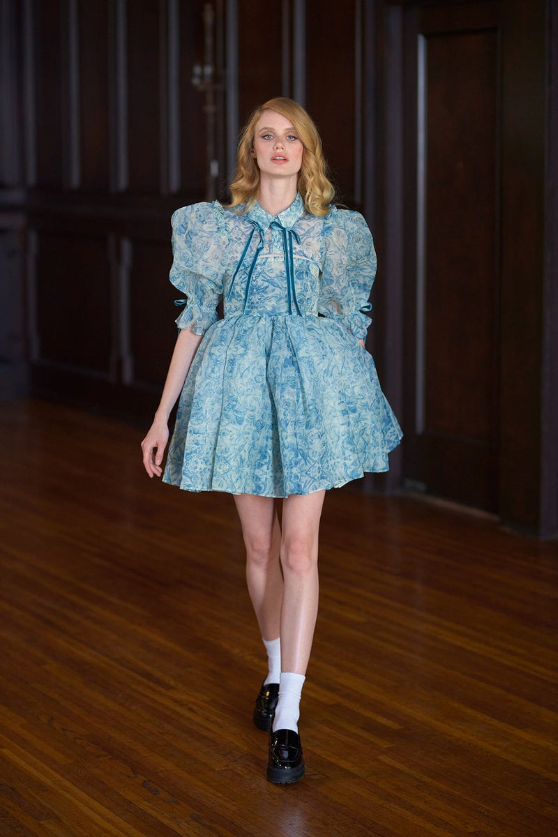 Puff Sleeve Lace Up Doll Collar Mini Dress