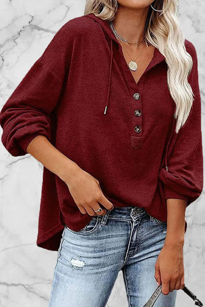 Frenulum V Neck Hoodies(11 Colors)